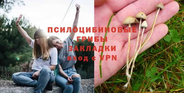 прущая мука Инсар