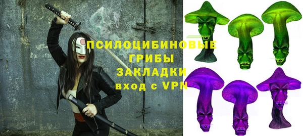 прущая мука Инсар