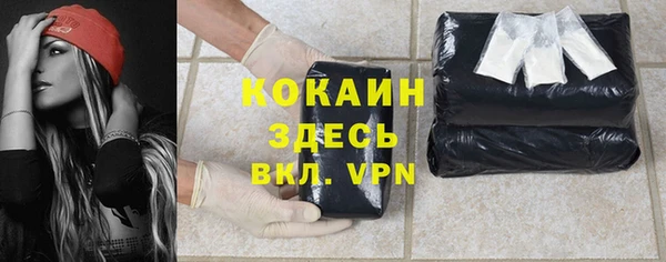 прущая мука Инсар