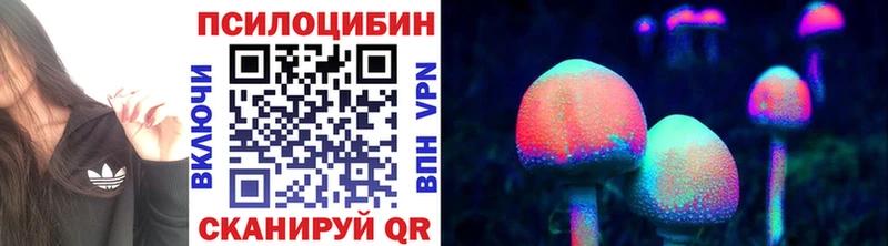 Псилоцибиновые грибы прущие грибы  Пушкино 